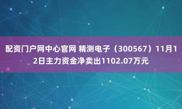 配资门户网中心官网 精测电子（300567）11月12日主力资金净卖出1102.07万元